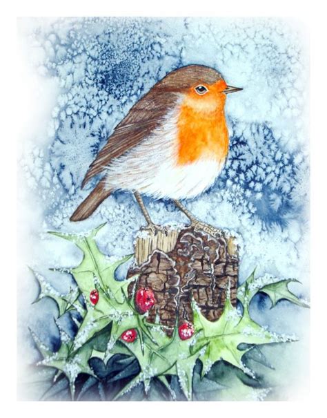 Watercolour Beginners And Supportive Mentors Robin In Winter Facebook