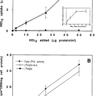 Uptake A And Intracellular Hydrolysis B Of Hdl Ce A Hbl