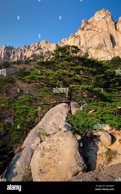 Ulsanbawi Rock In Seoraksan National Park South Korea Stock Photo Alamy