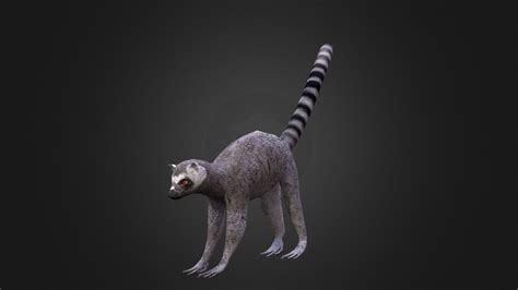 Lemur 3d Model By Ondřej Vališ Throy [dc18fef] Sketchfab