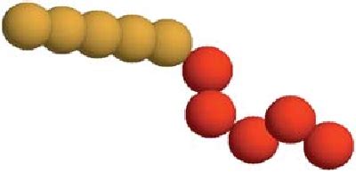 Figure 1 From Self Assembly Of End Tethered Nanorods In A Neat System