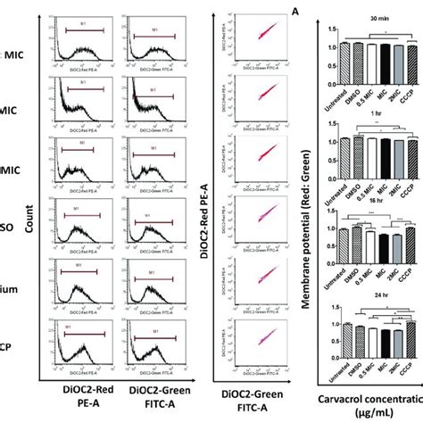 PDF Bactericidal Activity Of Carvacrol Against Streptococcus Pyogenes