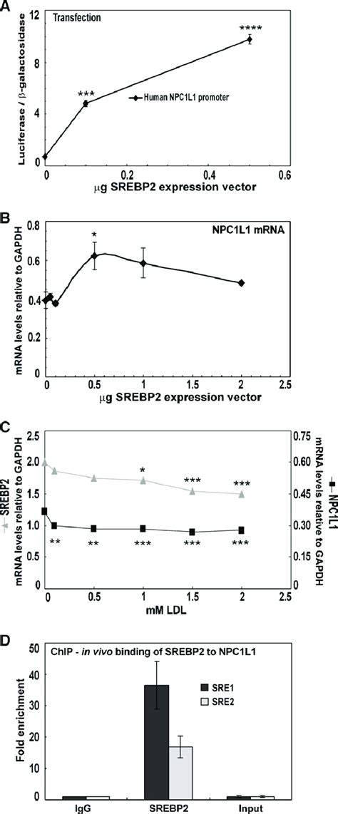 Srebp2 Binds To And Regulates The Human Npc1l1 Promoter A The Human Download Scientific