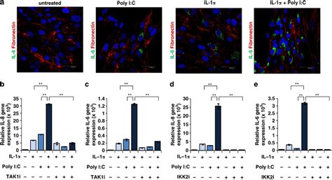 Interleukin IL 1α and polyinosinicpolycytidylic acid poly I C