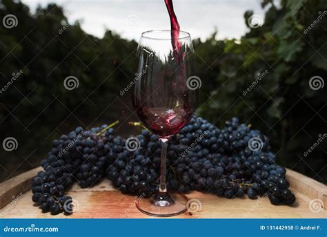 Flowing Red Wine In A Glass On The Background Of The Vineyard Stock