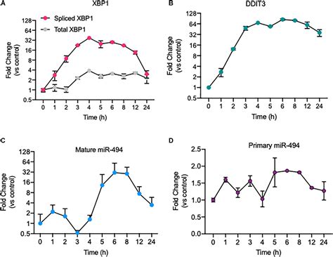 Frontiers MicroRNA 494 Regulates Endoplasmic Reticulum Stress In