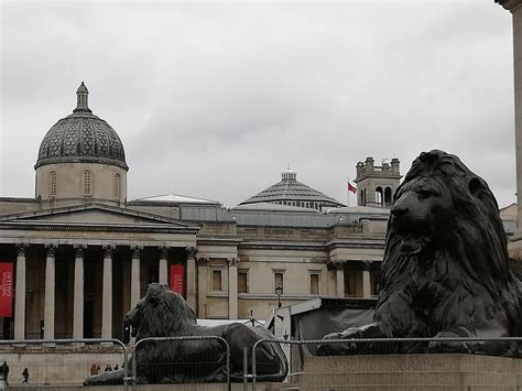 Trafalgar Square lions | London, Trafalgar, Fire