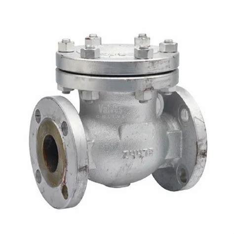 SS 316 Stainless Steel Swing Type Check Valve ASA 300 Class Flange Type