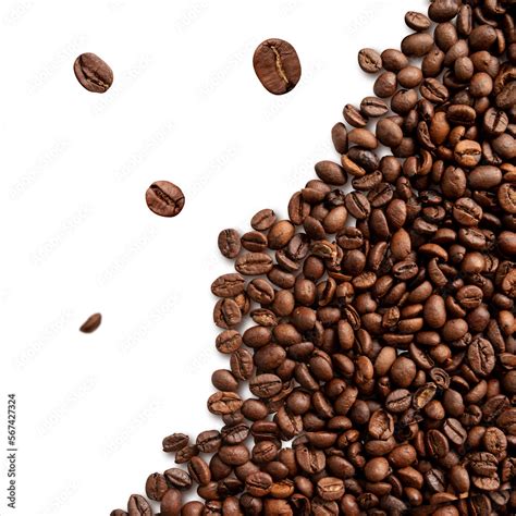 coffee beans on transparent background png Stock Photo | Adobe Stock