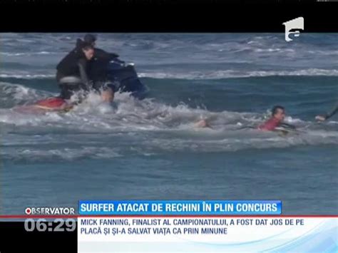 Un surfer a scăpat cu viaţă după ce a fost atacat de doi rechini