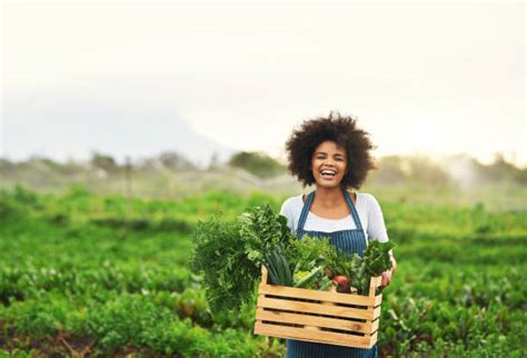 9100 Happy African Farmer Stock Photos Pictures And Royalty Free