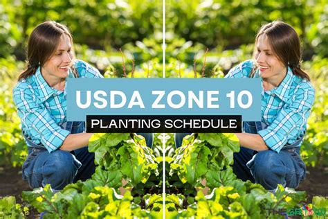 Usda Zone 10 Planting Schedule For 2025 Thegrow