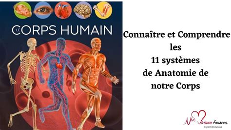 Connaître et Comprendre les 11 systèmes de l Anatomie de notre Corps