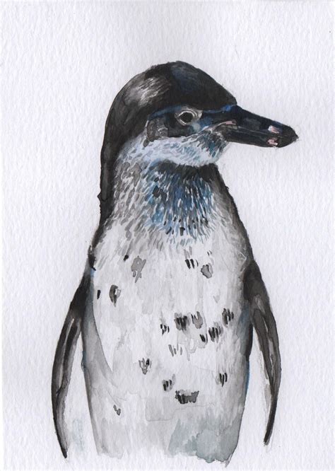 Penguin Watercolour Original Artwork Penguin Artwork Penguin