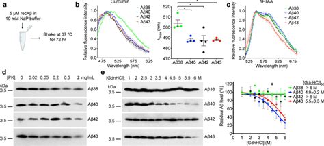 Conformational Characterization Of Recombinant Aβ Aggregates A