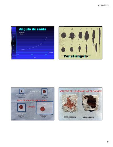 PDF HEMATOLOGIA FORENSE EVIDENCIAS 1 EVIDENCIAS BIOLOGICAS Jorge