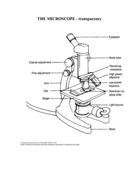 Microscope Observation Worksheet