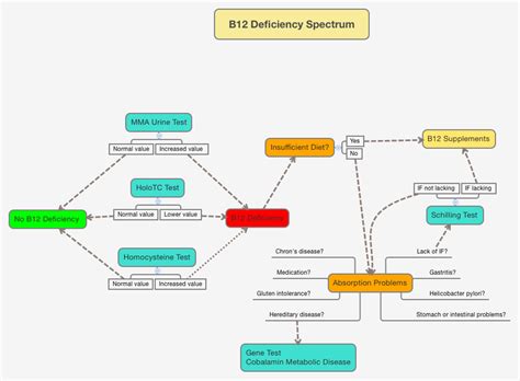 Vitamin B12 Deficiency Test | Dr. Schweikart