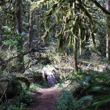 Seven Sisters Trail - Cultus Lake | British Columbia - 1000 Towns of Canada