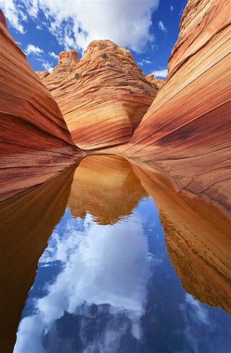 Rock The Wave A Sandstone Sea In Arizona The Wave Arizona Arizona Travel Travel