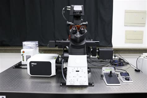 Confocal Microscopy