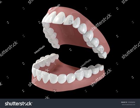 seperated upper  sets human teeth stock illustration