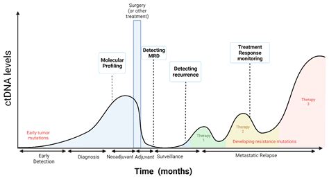 Ijms Free Full Text Circulating Tumor Dna In Precision Oncology And