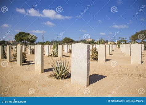 Beautiful View of El Alamein British War Cemetery in El Alamein Editorial Image - Image of ...