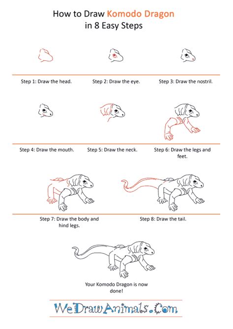 How To Draw A Komodo Dragon Step By Step Drawing Word Searches