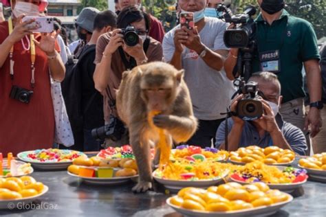 Lopburi Monkey Festival - GlobalGaz Hang With Monkeys