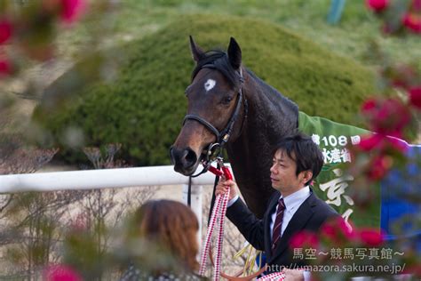 【競馬写真】2015年 第108回京都記念gii ラブリーデイ