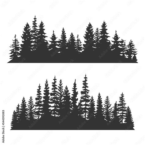 Spruce forest silhouette. Spruce wood silhouette. Spruce tree ...