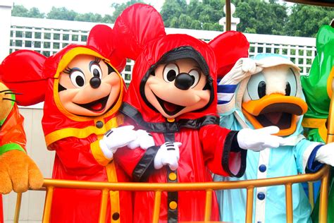 Consejos Para Mejorar Un Día De Lluvia En Walt Disney World Viajando