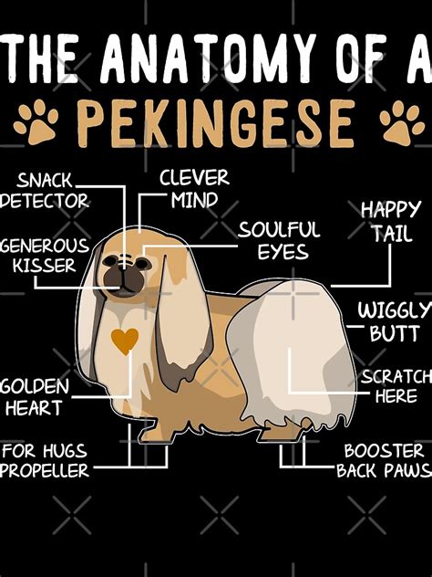 The Anatomy Of A Pekingese Dog Poster For Sale By Abidilana Redbubble