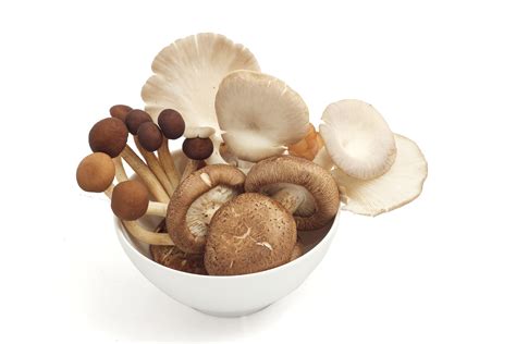 Wholesale Mixed Oriental Mushrooms Supplier Next Day Bulk Delivery London And South East Uk