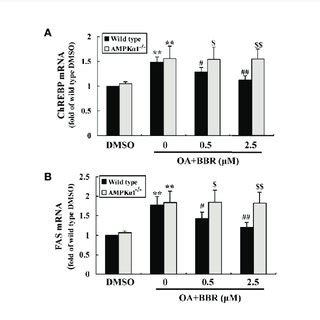 Effects Of BBR On The MRNA Expression Levels Of Lipogenic Genes