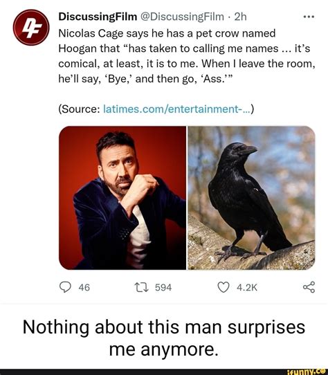 DiscussingFilm DiscussingFilm Nicolas Cage Says He Has A Pet Crow