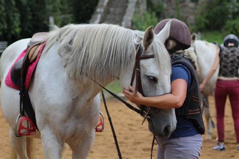 Les Cours Adultes Segala Levezou Equitation Chevaux Barbes