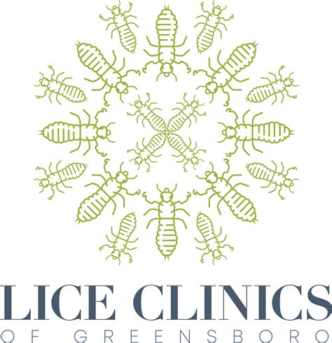 Head Lice Removal Service Greensboro Nc One Treatment