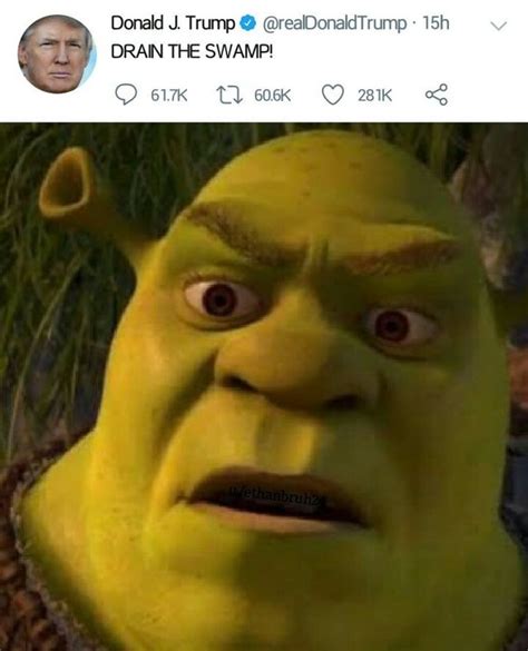 Shrek Memes Have Layers Like An Onion - Shrek | Memes