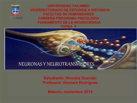 Tarea 9 Neurona Y Neurotransmisores Ppt