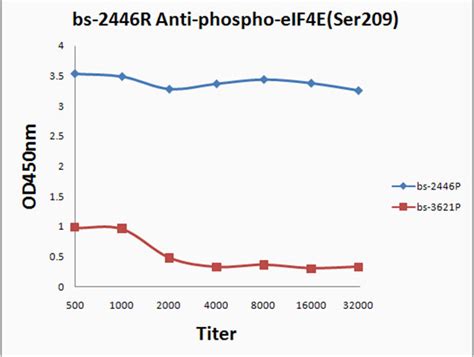 Phospho Eif4e Ser209 Polyclonal Antibody Bs 2446r