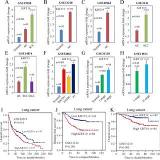 The Mrna Expression Of Krt In Lung Cancer And Normal Tissue A C