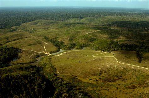 Preservação da Amazônia esteve em debate no Senado em 2020 OACREAGORA