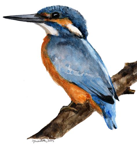 Common Kingfisher Painting By Carlo Ghirardelli