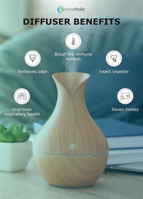 Humidifier Vs Diffuser What S The Difference The Ozone Hole