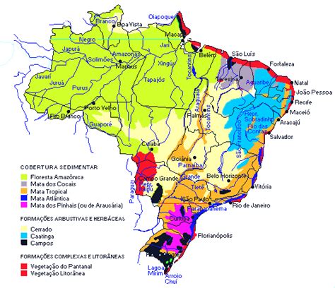 Vegetacao Mapa Mental