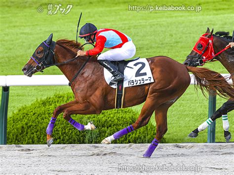 競馬ブックネットshop カラープリントアルミ枠付き2023年9月24日阪神12r 3歳以上2勝クラスパラシュラーマ