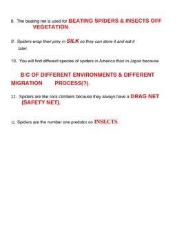 Bill Nye Spiders Video Guide Sheet By Jjms TPT