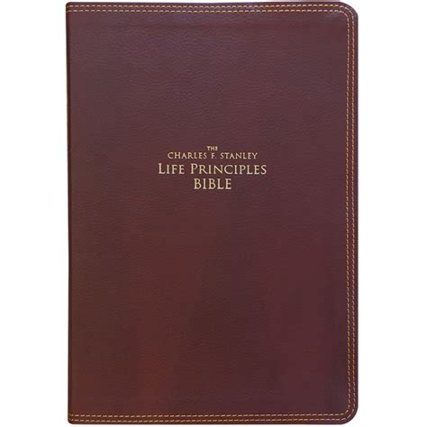 NIV Bible (Large Print) - Burgundy Leathersoft